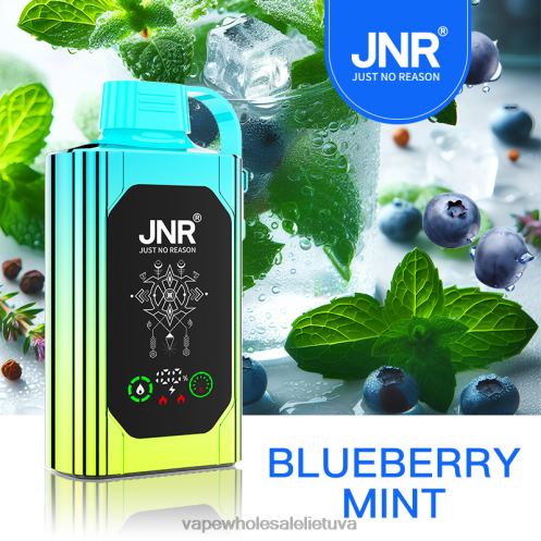 Vienkartiniai Vape Z8D0T618 | JNR SHISHA BOX mėlynių mėtų