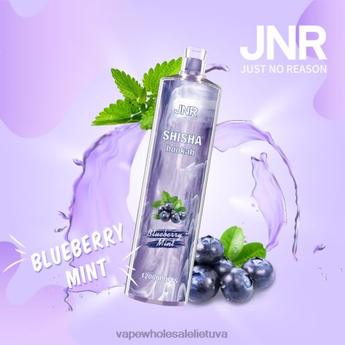 Vape Be Nikotino Z8D0T672 | JNR SHISHA mėlynių mėtų